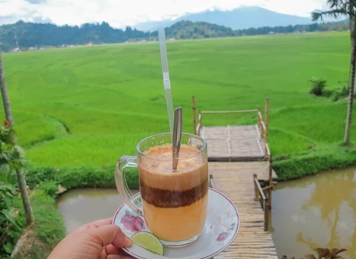 IMG 20211029 141016 Jaga Kesehatan Tubuh, Ini 7 Minuman Tradisional Indonesia Beserta Manfaatnya