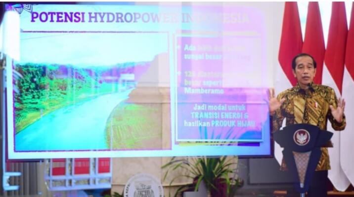 IMG 20211119 094100 Menata Ekonomi Hijau Indonesia, Ini Strategi Presiden Jokowi