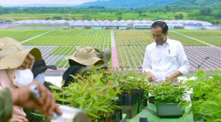 IMG 20211119 144216 Serius Tangani Perubahan Iklim, Presiden Jokowi Menargetkan Buat 30 Pusat Persemaian Modern