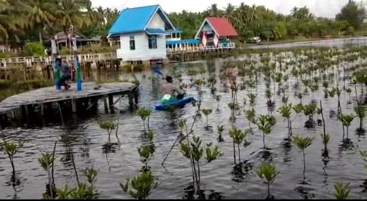 WhatsApp Image 2021 11 27 at 12.21.14 Atraksi Kano Mangrove Park dan Kawasan Wisata Ampiang Parak yang Kian Terkenal