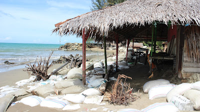 Abrasi Pantai Api-Api