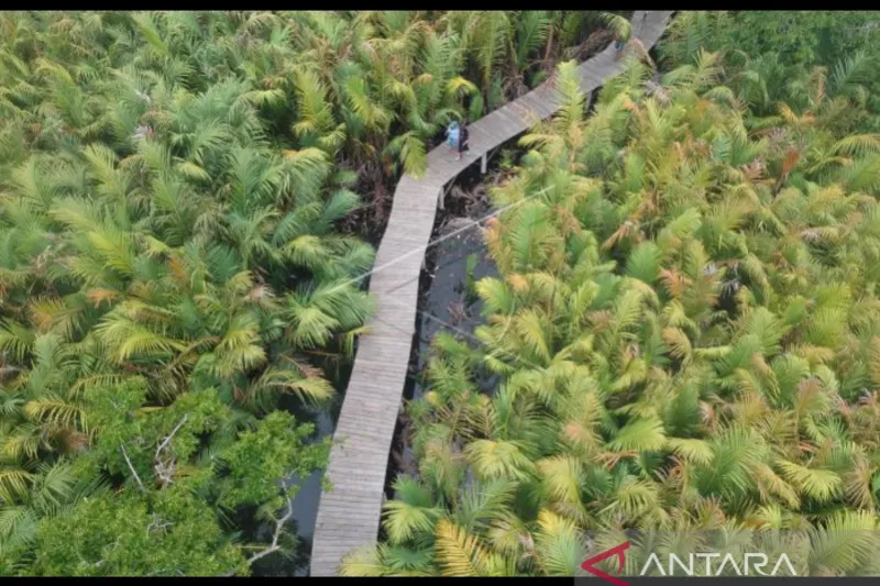wisata green talao park q6vmlp hl 1.png Masuk 50 Besar ADWI 2022, Ini Keunggulan Desa Wisata Green Talao Park Ulakan Padang Pariaman