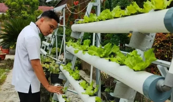 IMG 20220625 WA0031.jpg e1656206403483 Pemko Solok Minta Masyarakat Manfaatkan Pekarangan untuk Sumber Pangan Keluarga