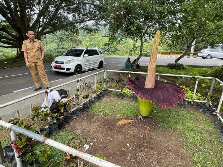 FB_IMG_1657011168301