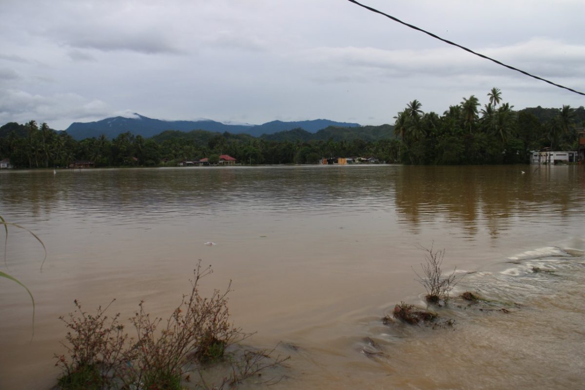 IMG-20230124-WA0000 IMG 20230124 WA0000 30 Hektare Lahan Pertanian Warga Bayang Terdampak Banjir