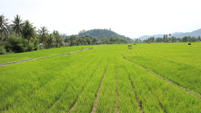 WhatsApp Image 2023-01-01 at 15.18.49