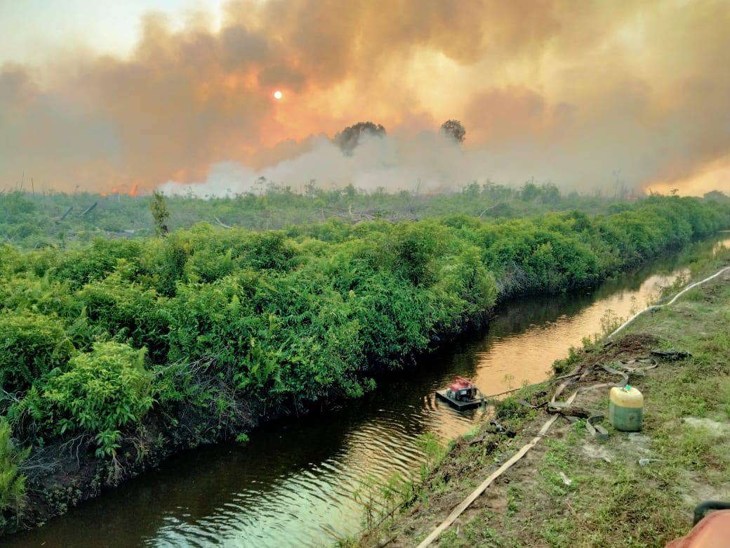 IMG 20230525 WA0006 Sudah 3 Hari, Karhutla di Pesisir Selatan Masih Belum Padam