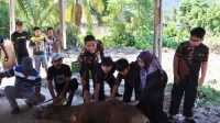 IMG 20230630 WA0003 Idul Adha 1444 Hijriah: Polres Pessel Kurban 4 Sapi dan 1 Kambing