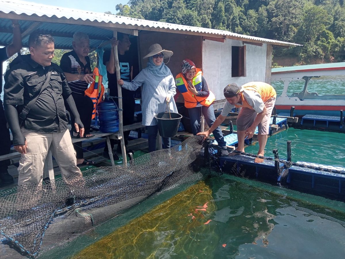 IMG-20230726-WA0013 IMG 20230726 WA0013 Kembangkan Potensi Lobster di Laut Pesisir Selatan, DKP Sumbar Kunjungi Keramba Apung di Kampung Sungai Bungin