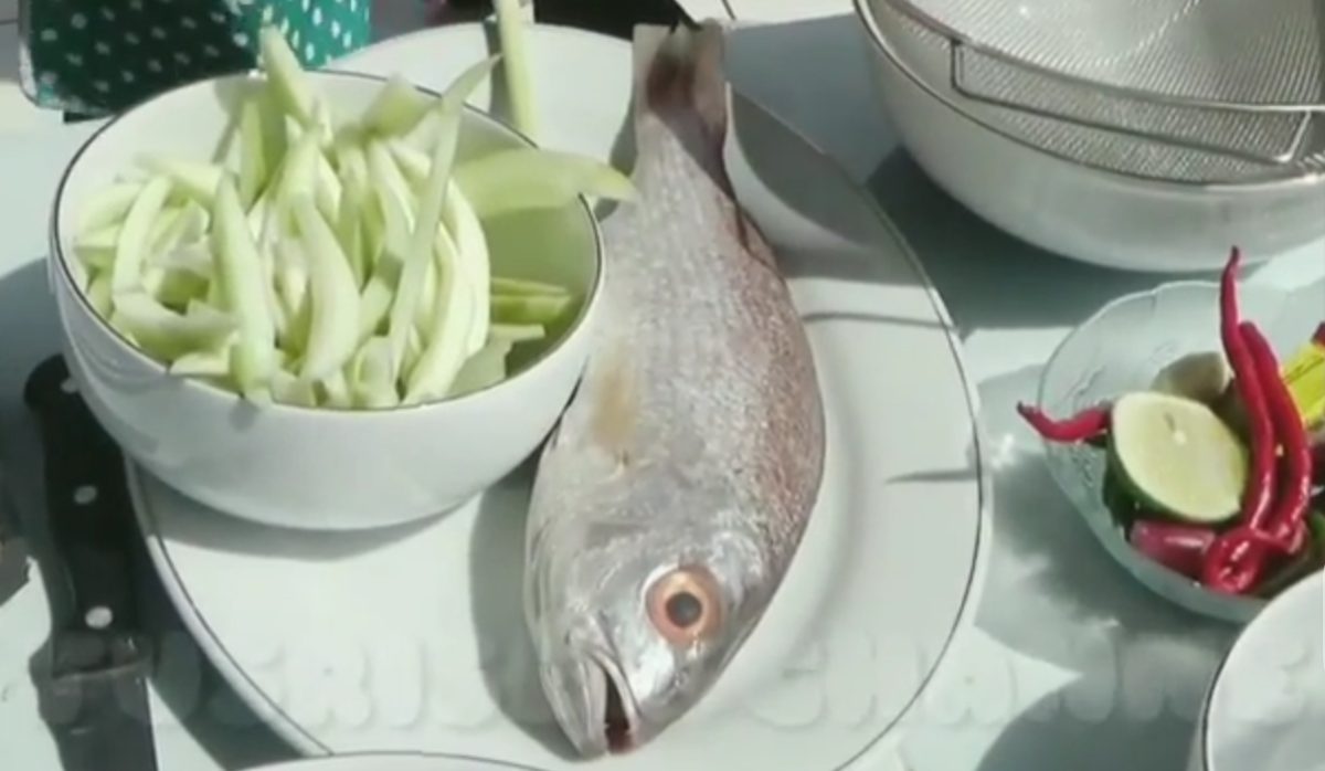 IMG 20231207 WA0006 Menggali Kelezatan Gulai Ambacang Ikan Karang di Kawasan Wisata Bahari Terpadu Mandeh