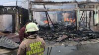 rumah di jalan pepaya pekanbaru ter Rumah di Jalan Pepaya Pekanbaru Terbakar, Angin Kencang Percepat Api Meluas