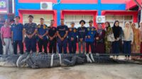 17620824531000357866 17620824531000357866 Buaya Raksasa 5,7 Meter di Inhil Dievakuasi ke Tembilahan