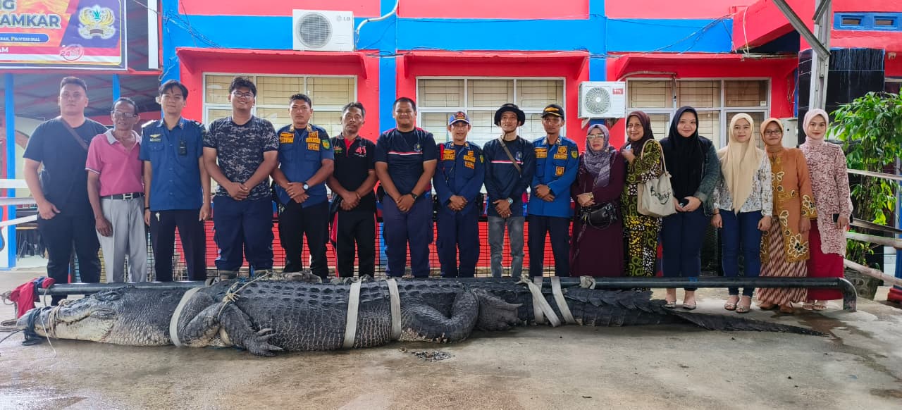 17620824531000357866