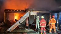 kasus-kebakaran-di-pekanbaru-masih kasus kebakaran di pekanbaru masih Kebakaran Pekanbaru Masih Tinggi, 247 Kasus Terjadi Sepanjang 2025