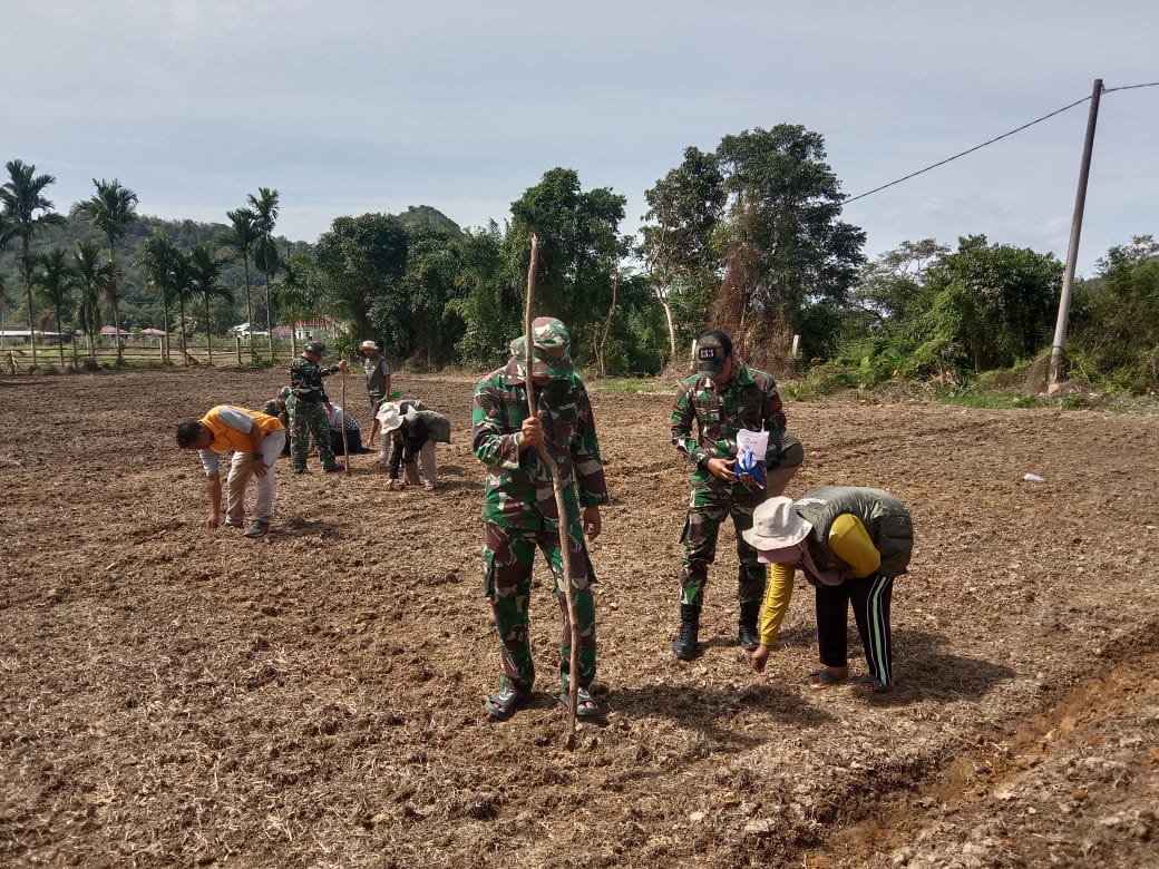 Satgas TMMD Kodim 0311/Pesisir Selatan berkolaborasi dengan brigade pangan Gurun Panjang Bersatu Nagari Gurun Panjang Utara, Bayang, Jumat, (13/2/2026)